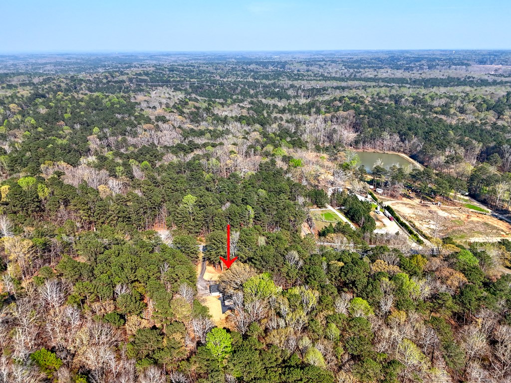 3330 Fortson Road Fortson, GA 31808 - Photo 8 of 46 view of city and mountain