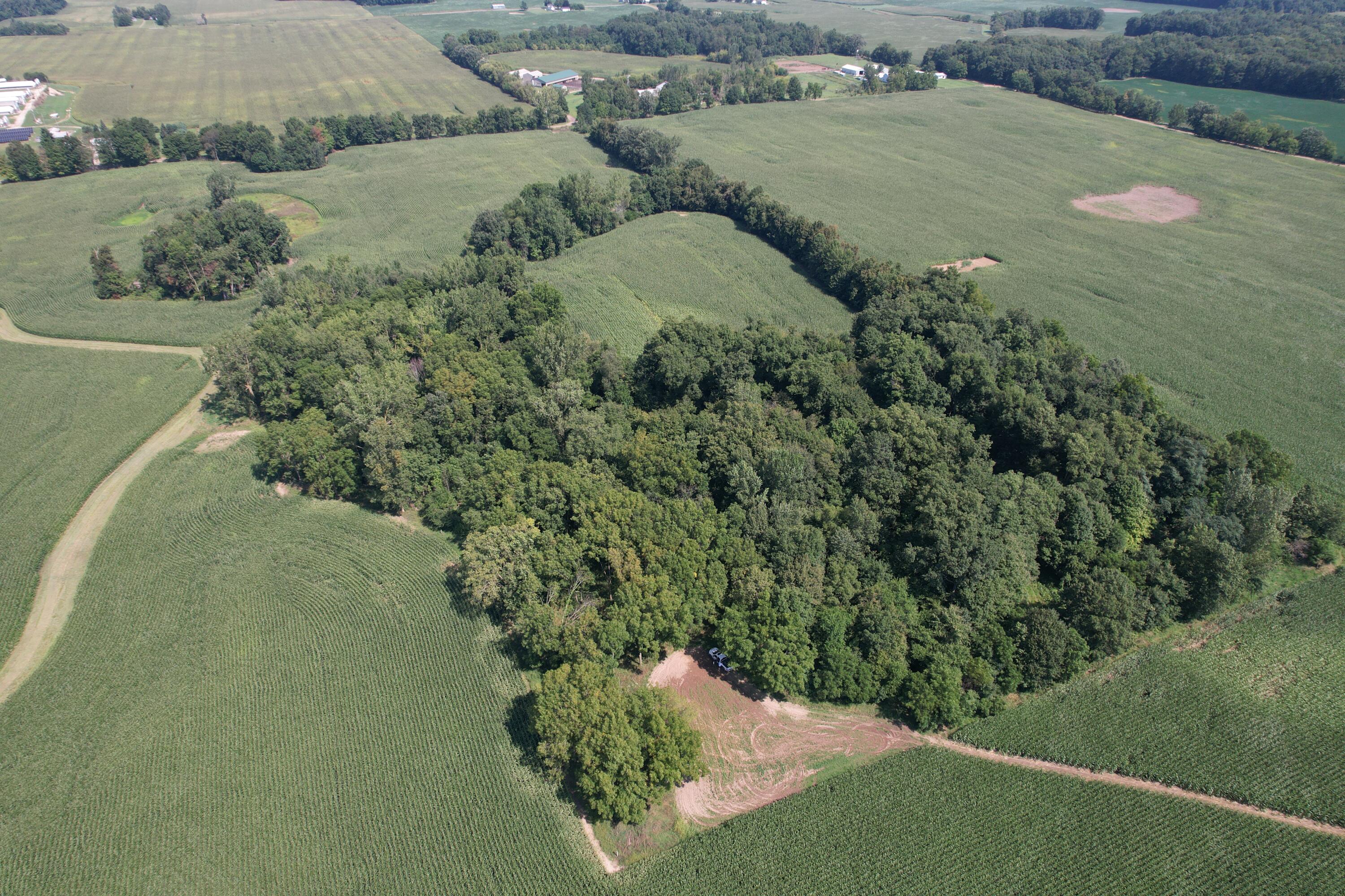 DJI_0395