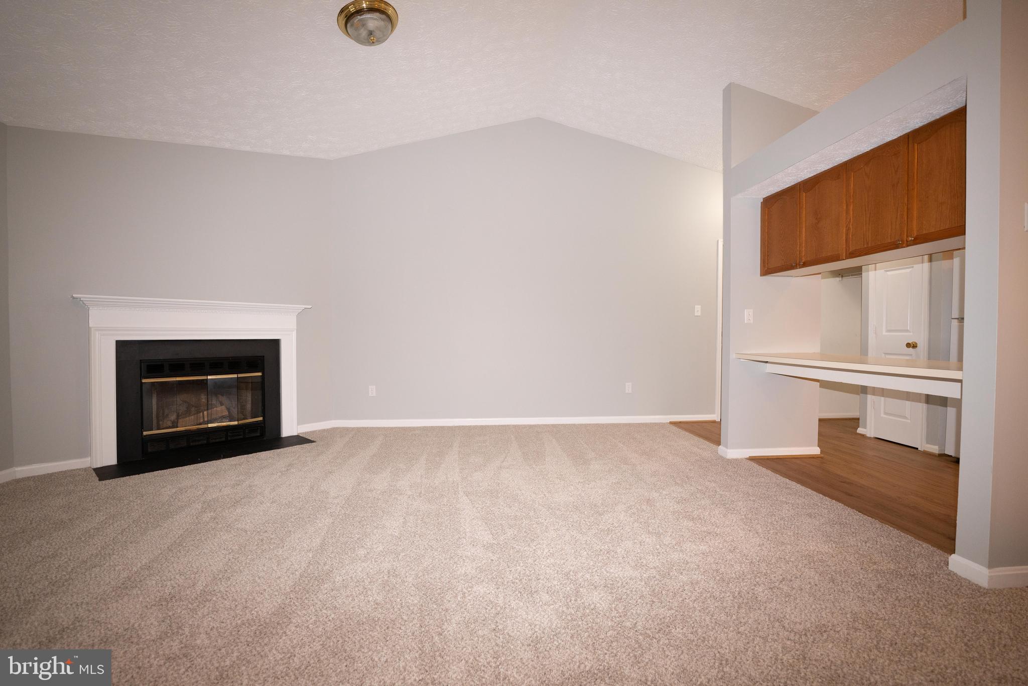2108 Whitehall Road, Unit 2D Frederick, MD 21702 - Photo 6 of 32 living room with fireplace