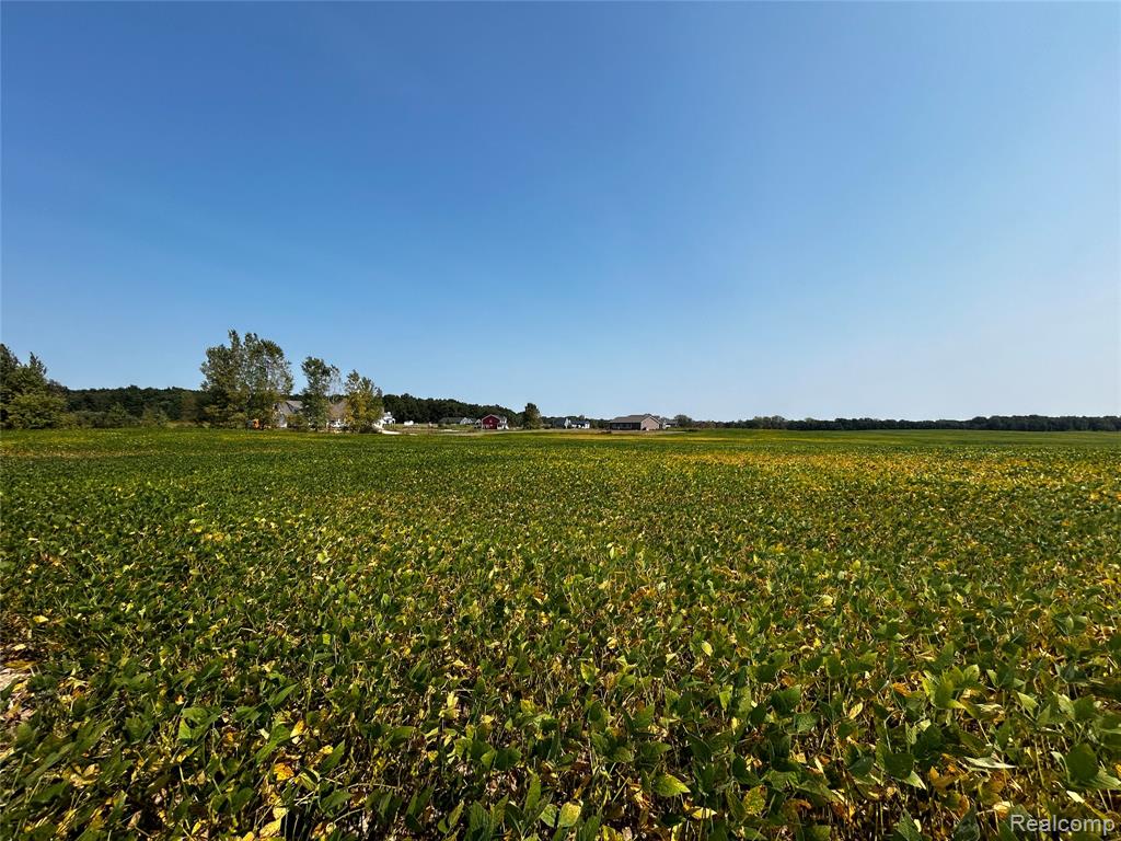 Parcel N North Hacker Road Howell, MI 48843 - Photo 11 of 13