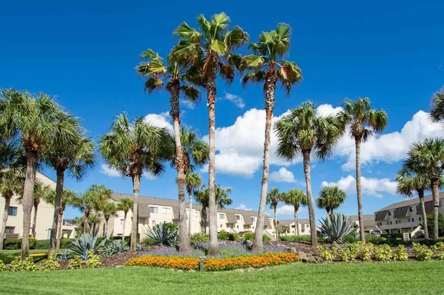 a view of a yard with a fountain