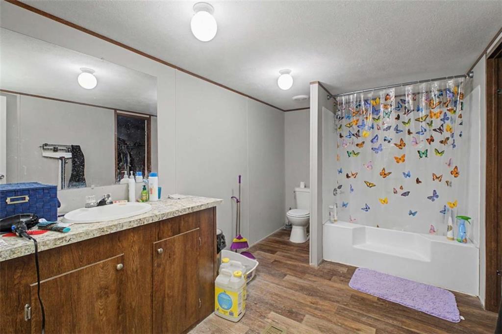 1343 Prior Station Road Cedartown, GA 30125 - Photo 22 of 39 a bathroom with a sink a toilet a mirror a vanity and shower