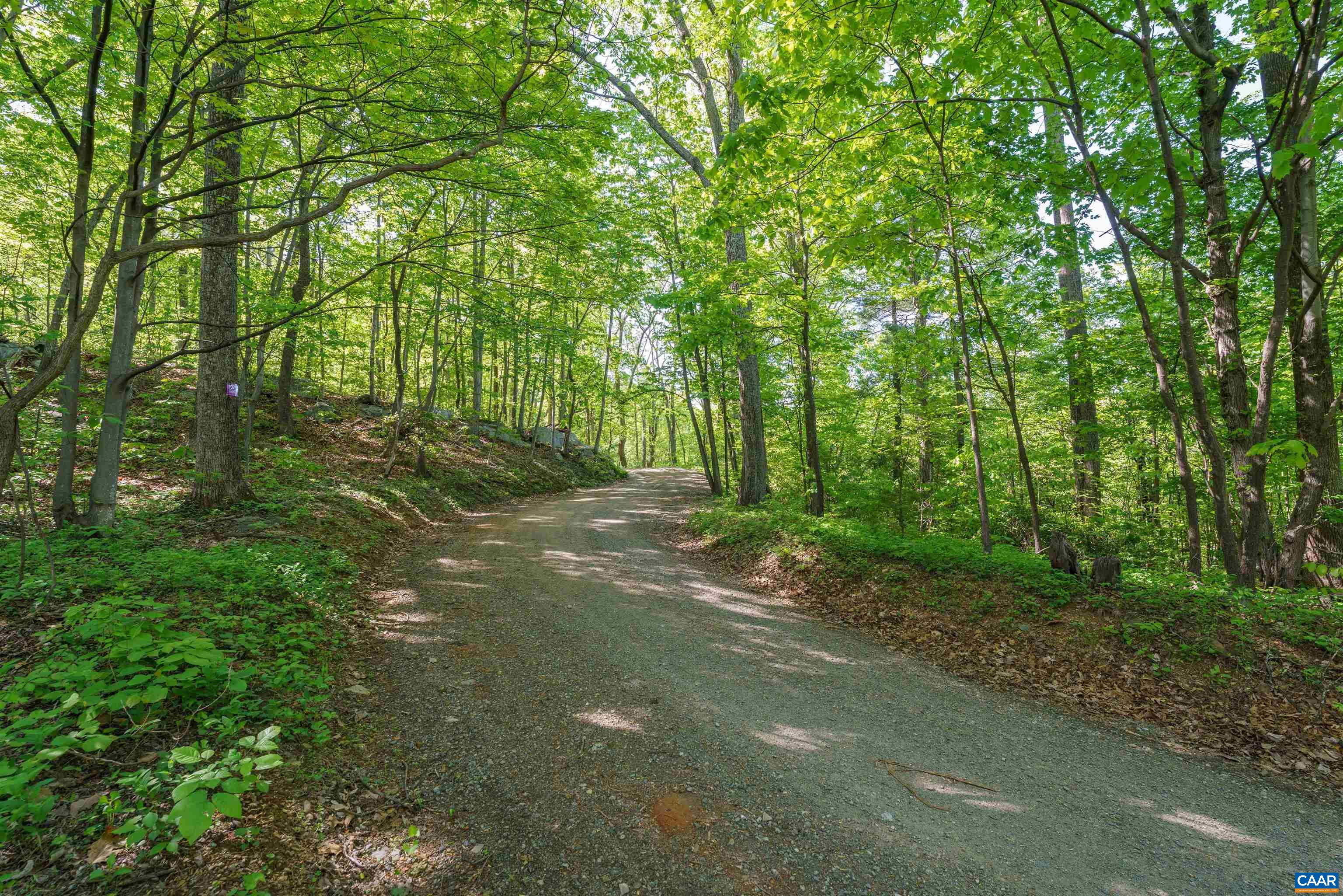 Lot A Brokenback Mountain Road Dyke, VA 22935 - Photo 12 of 15