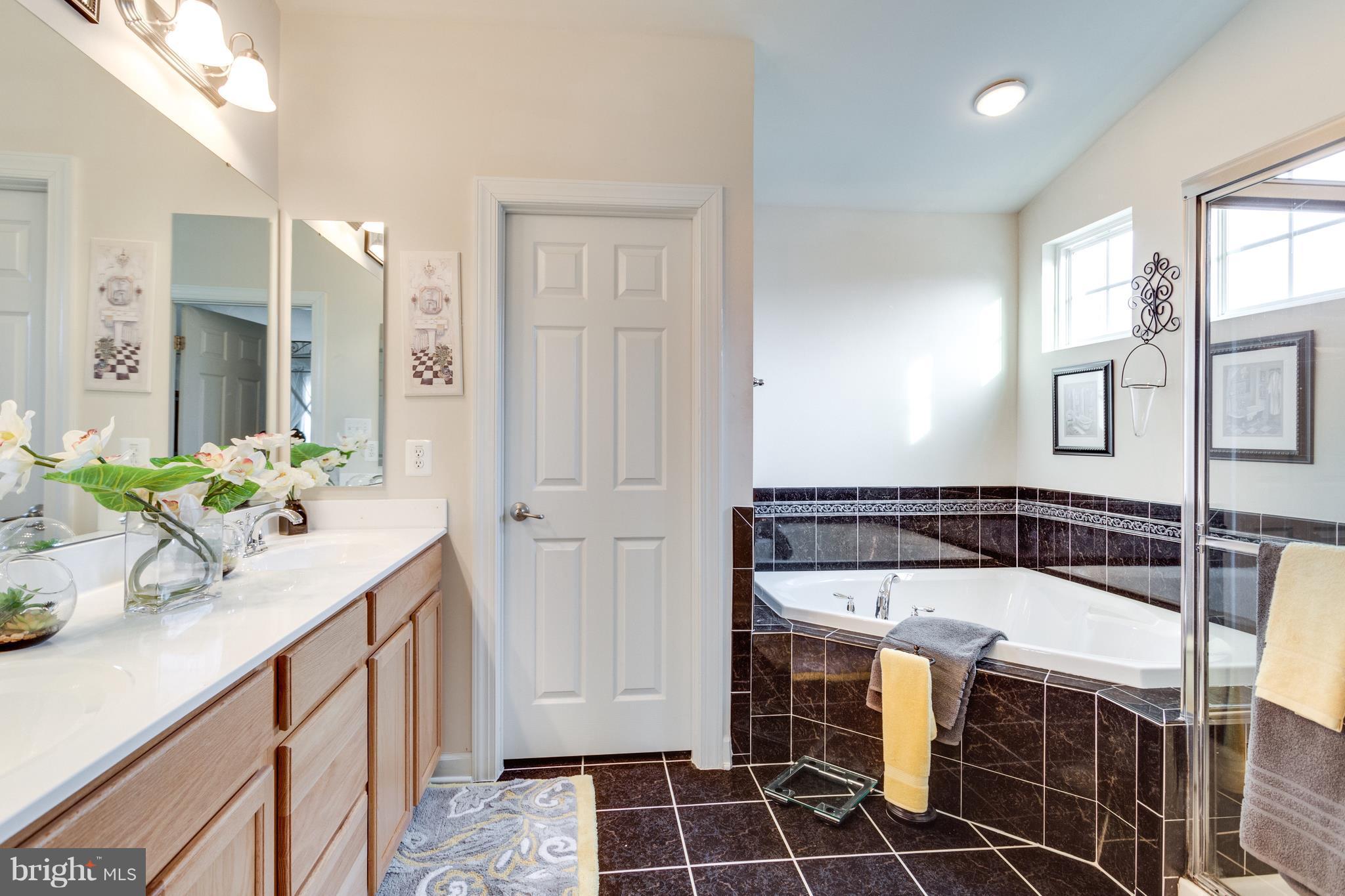 14412 Lusby Ridge Road Accokeek, MD 20607 - Photo 19 of 22 Bath (Master)