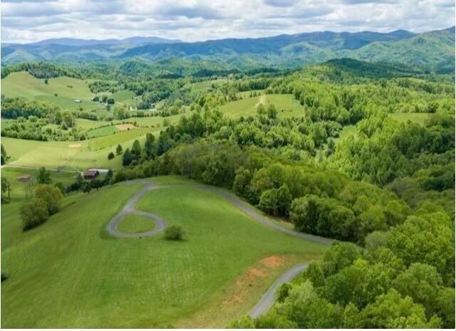 23 Dry Hill Road Butler, TN 37640 - Photo 2 of 5 a view of a lush green space