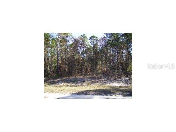 0 Southwest 135th Terrace Road Ocala, FL 34481 - Photo 1 of 1 Primary Photo
