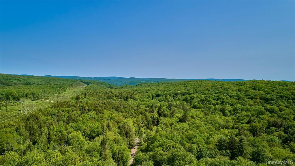 172 Wards Road Livingston Manor, NY 12758 - Photo 24 of 25 drone view