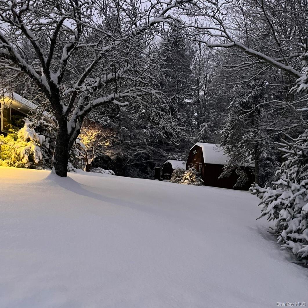 172 Wards Road Livingston Manor, NY 12758 - Photo 4 of 25 winter photo of yard