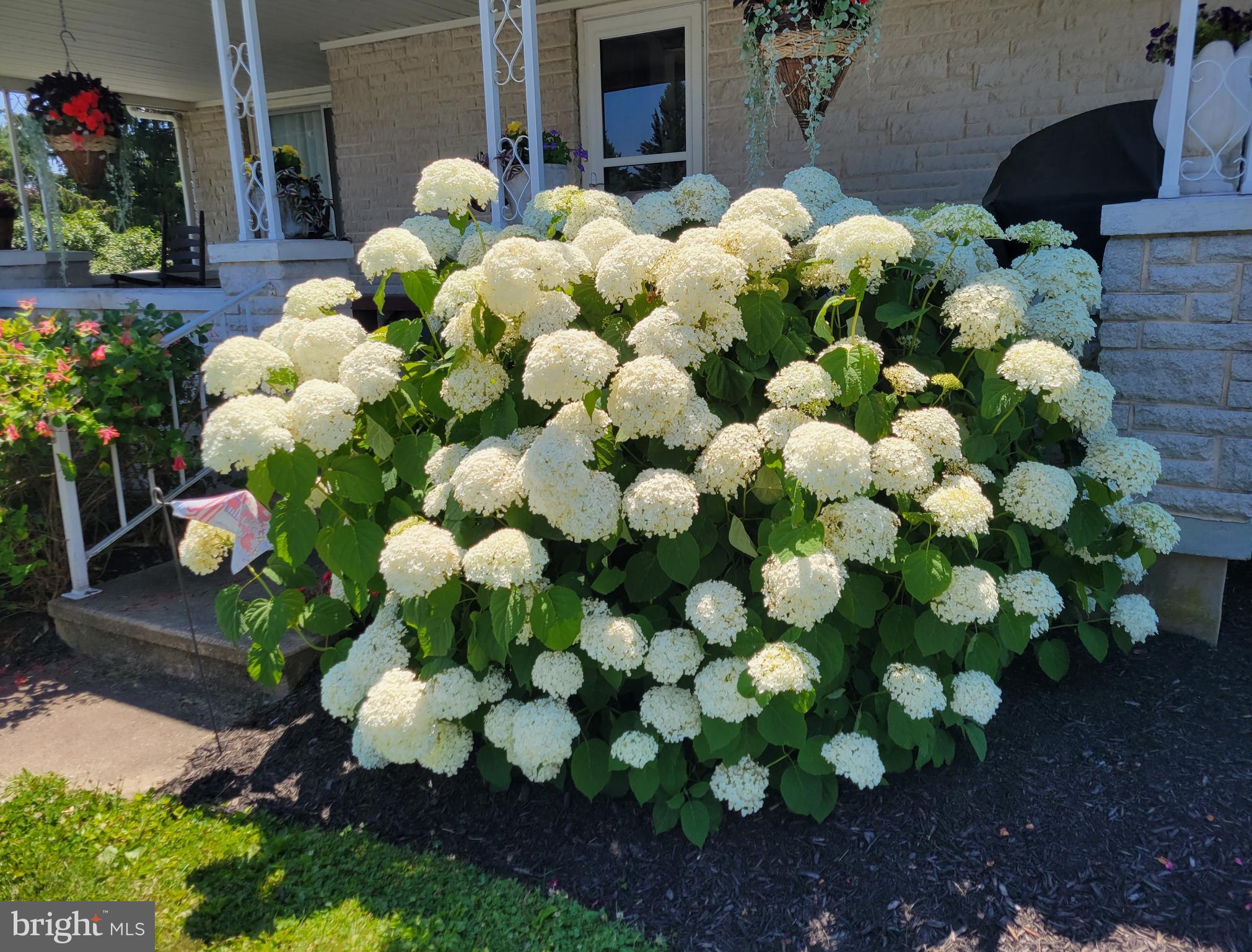 938 Mt Zion Road Lebanon, PA 17046 - Photo 35 of 54 Gallery Image 35