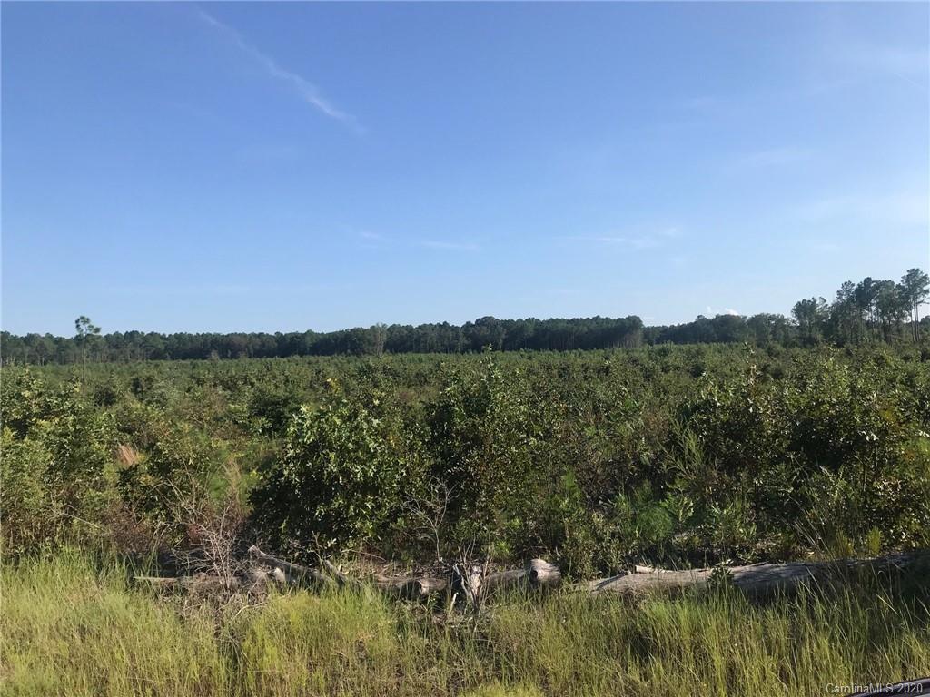 3364 Old Stagecoach Road Bethune, SC 29009 - Photo 1 of 6