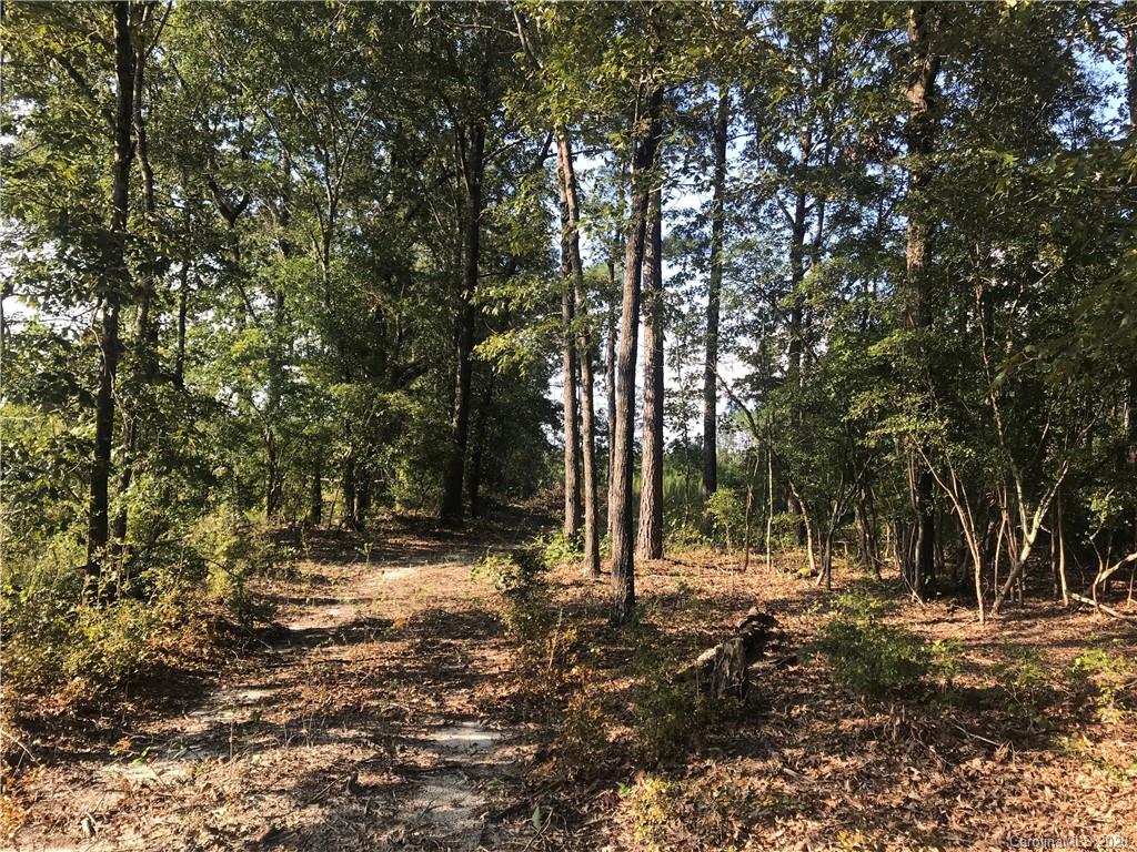 3364 Old Stagecoach Road Bethune, SC 29009 - Photo 3 of 6