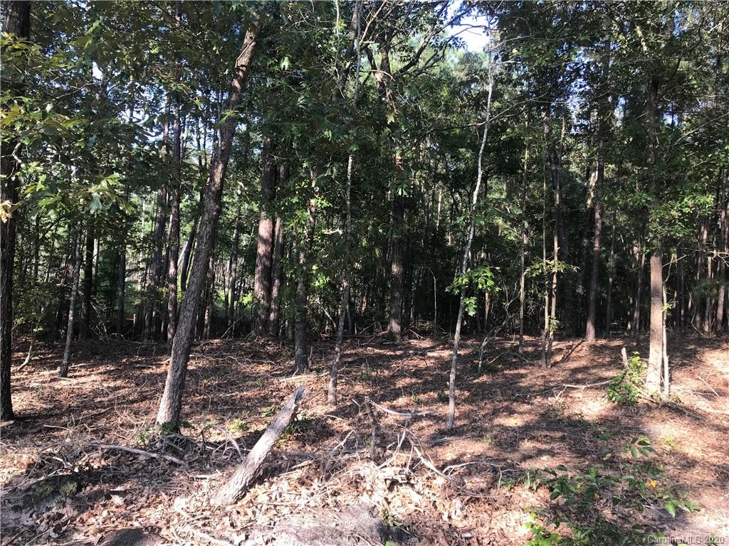3364 Old Stagecoach Road Bethune, SC 29009 - Photo 4 of 6