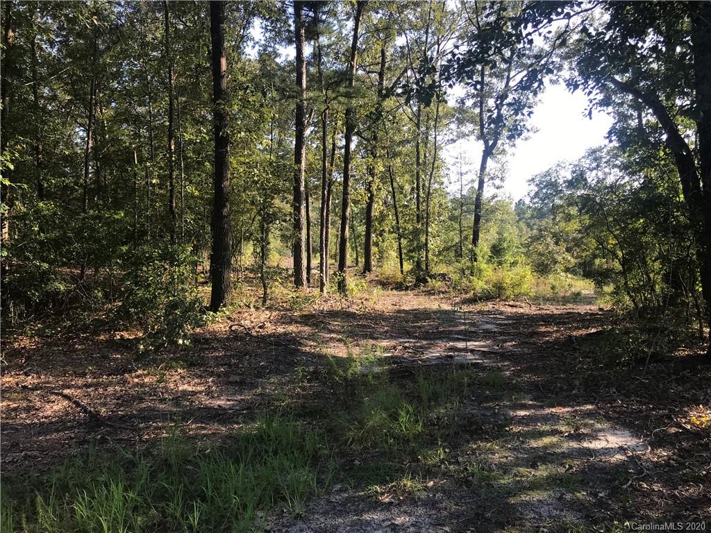 3364 Old Stagecoach Road Bethune, SC 29009 - Photo 6 of 6