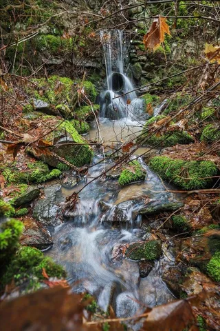 $750,000 | 19982 North Mt Spokane Park Drive, Mead, WA 99021