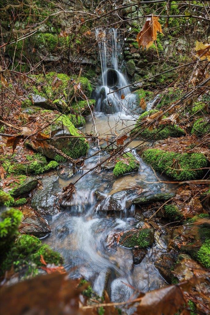 19982 North Mt Spokane Park Drive Mead, WA 99021 - Photo 39 of 50