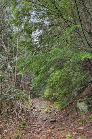 $750,000 | 19982 North Mt Spokane Park Drive, Mead, WA 99021