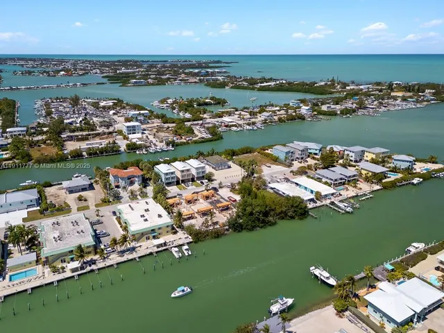 an aerial view of a city with ocean view