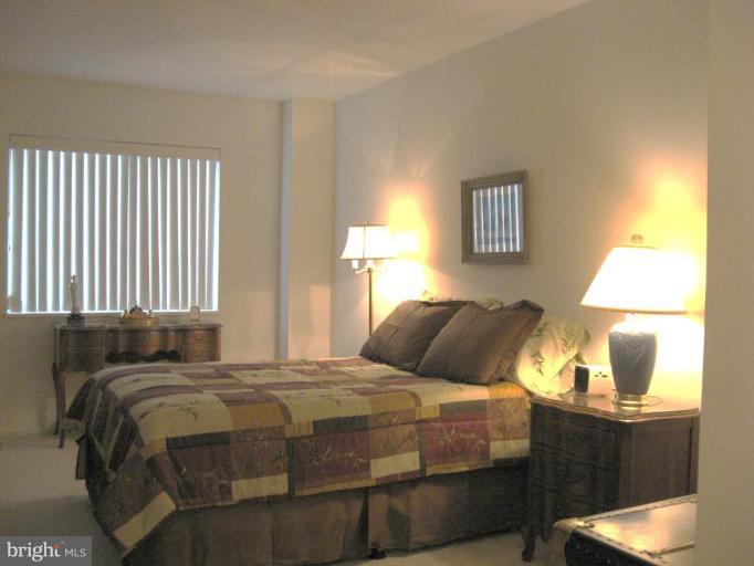 15100 Interlachen Drive, Unit 4901 Silver Spring, MD 20906 - Photo 3 of 12 Master Bedroom