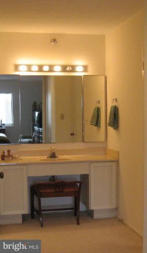 15100 Interlachen Drive, Unit 4901 Silver Spring, MD 20906 - Photo 4 of 12 Master Bath #2