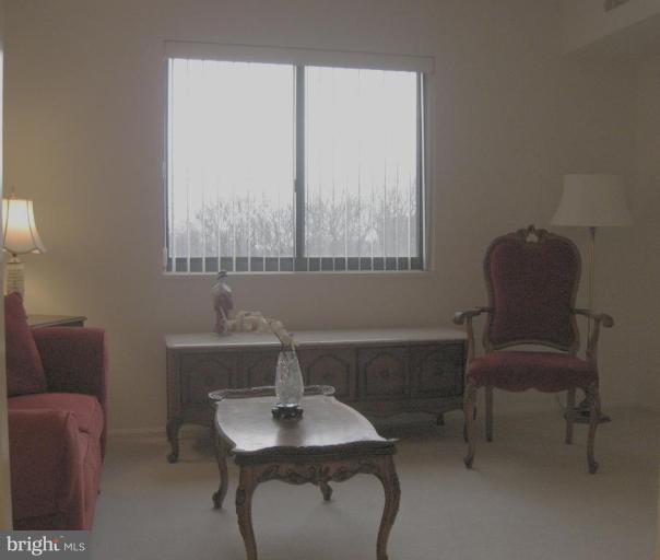 15100 Interlachen Drive, Unit 4901 Silver Spring, MD 20906 - Photo 7 of 12 Back yard