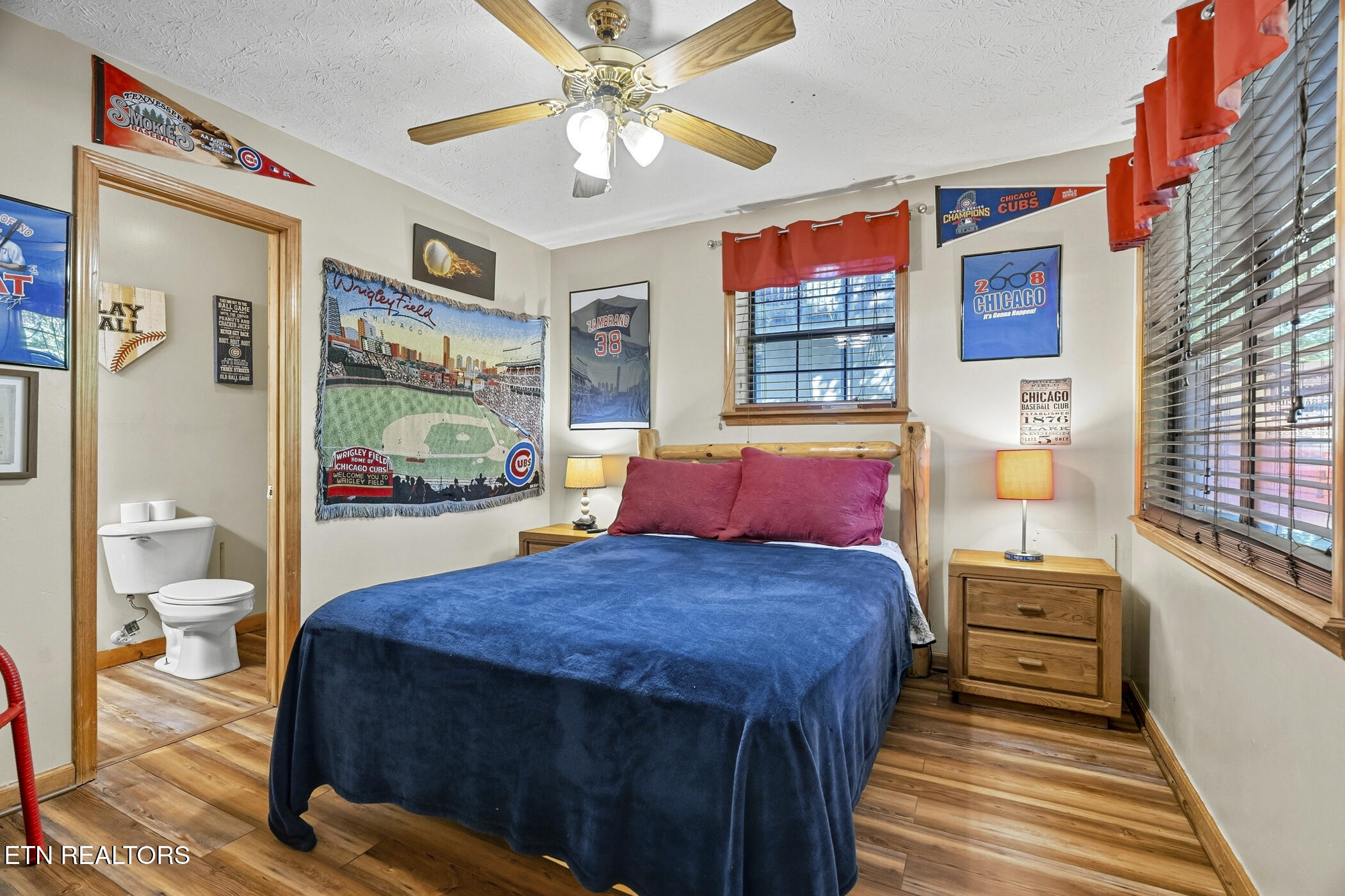 1660 Raccoon Den Way Sevierville, TN 37862 - Photo 37 of 52 dsc03242