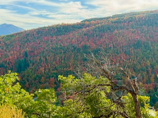 6909 East Spring Drive, Unit 19 Springville, UT 84663 - Photo 86 of 118 Mountainous landscape featuring a prominent peak and a rolling hillside covered in diverse foliage