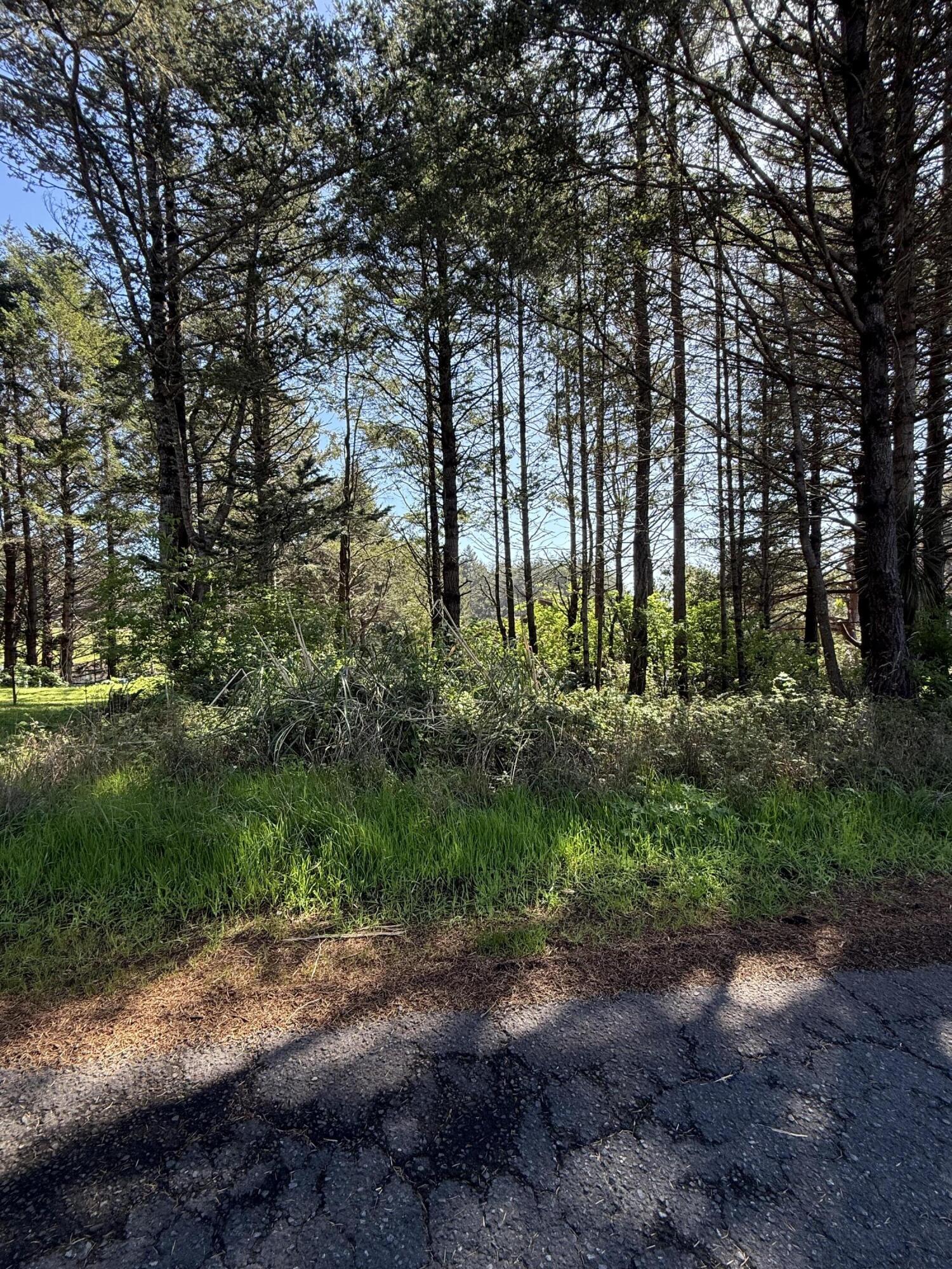 112 Seafoam Road Whitethorn, CA 95589 - Photo 2 of 6 IMG_2776