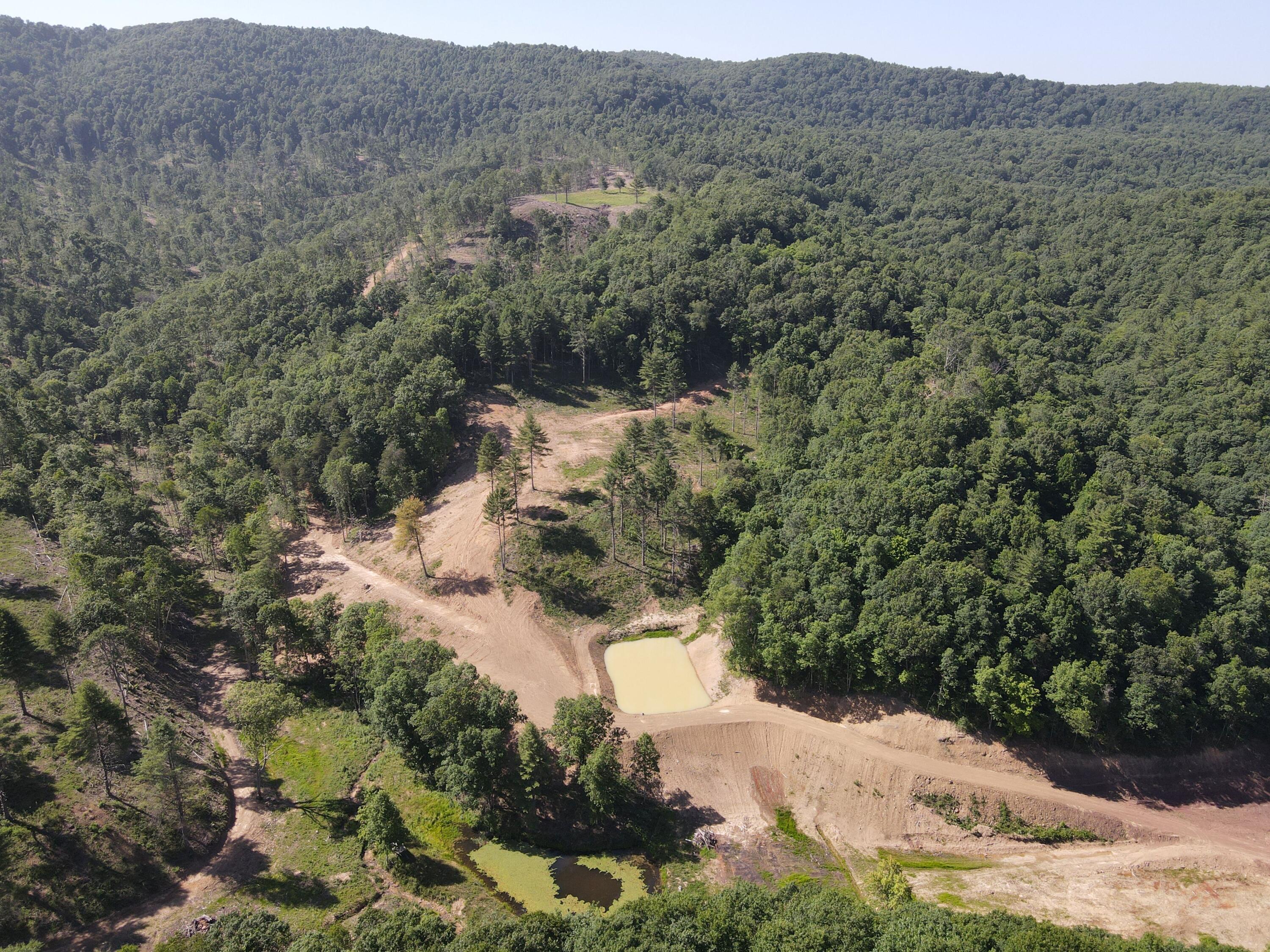 Suck Creek Road Jumping Branch, WV 25969 - Photo 19 of 52 Gallery Image 19