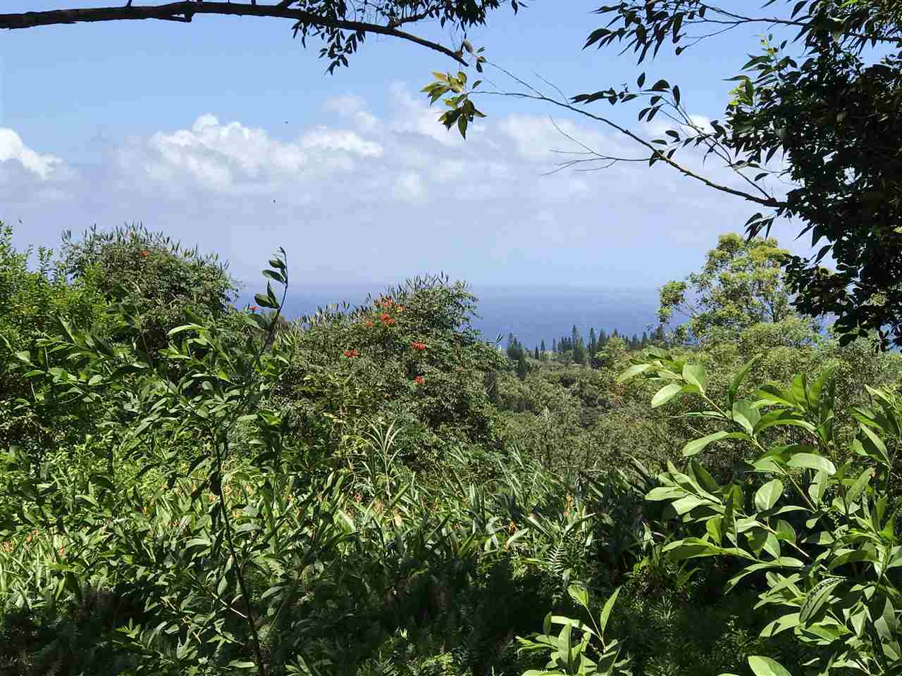 1825 Haiku Road Haiku, HI 96708 - Photo 5 of 24 a view of a city