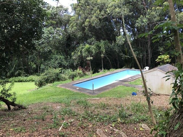 1825 Haiku Road Haiku, HI 96708 - Photo 6 of 24 a view of a backyard with large trees