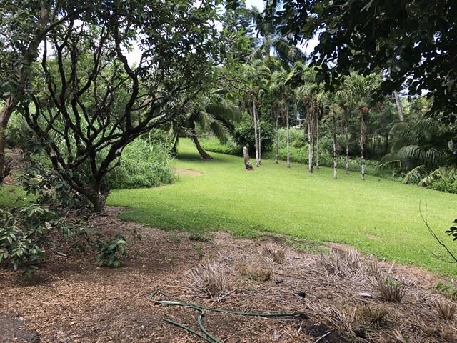 1825 Haiku Road Haiku, HI 96708 - Photo 7 of 24 a green field with lots of trees