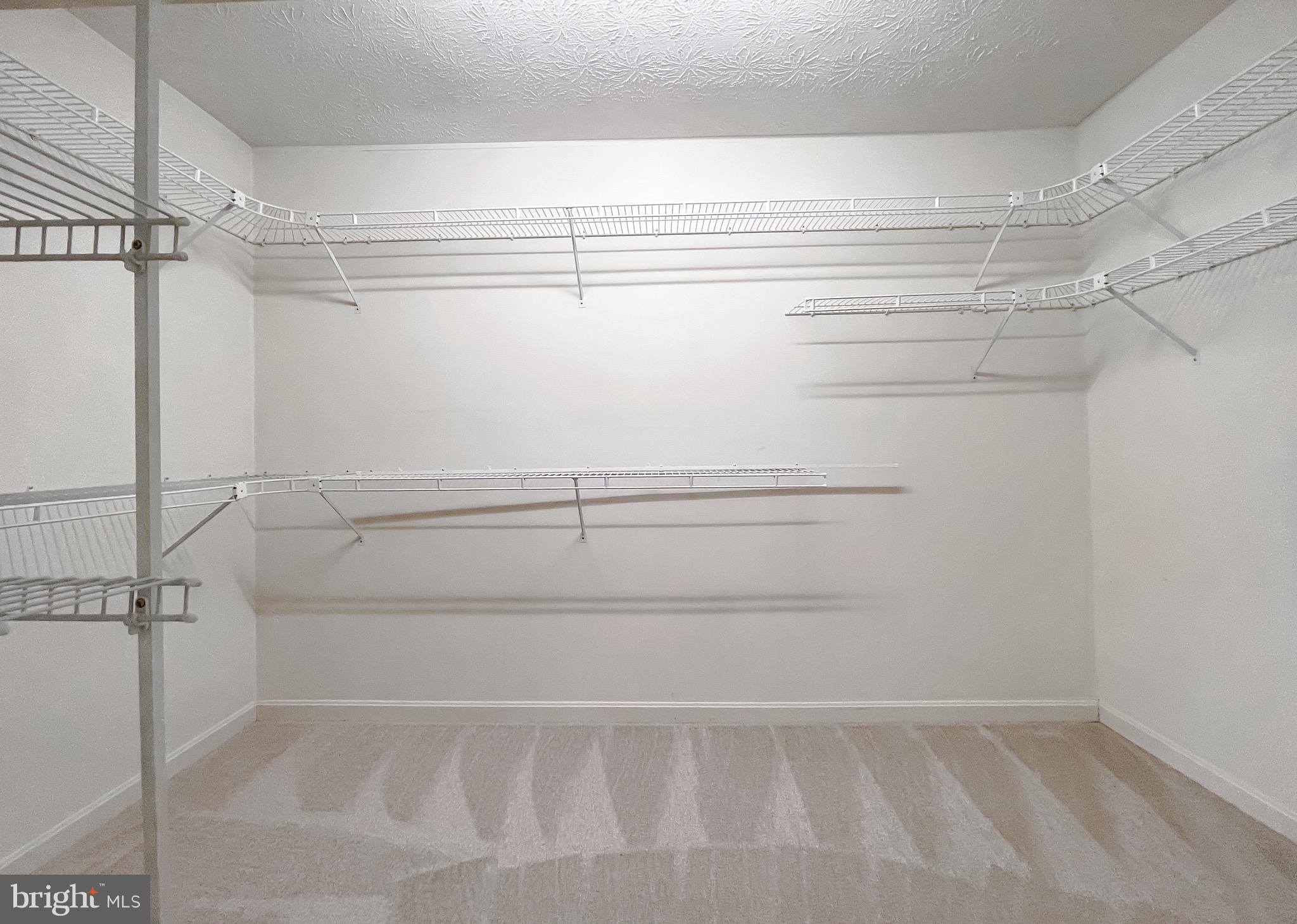 288 Elkins Lane Lusby, MD 20657 - Photo 45 of 73 a view of an empty walk in closet