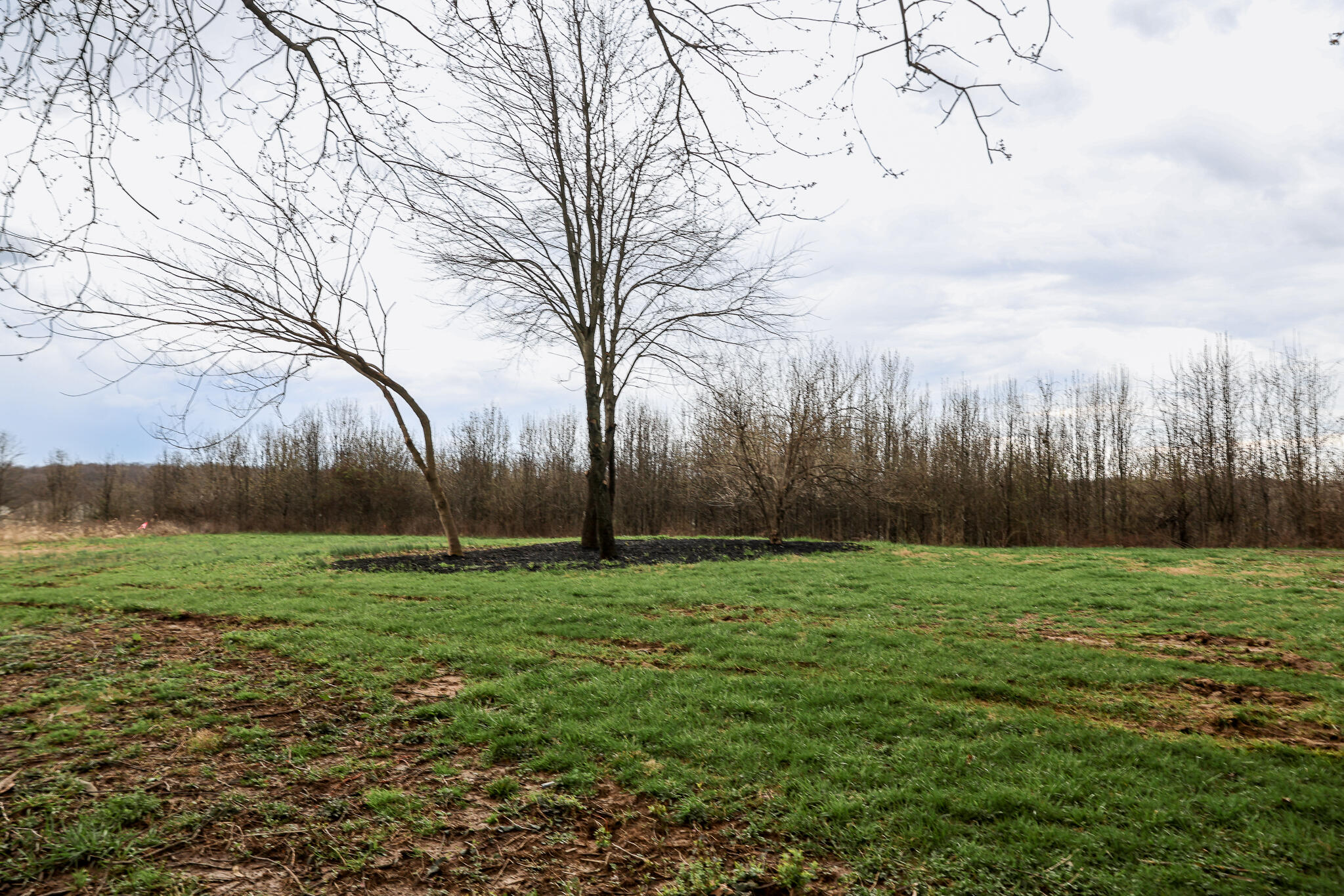 5220 Cody Road Independence, KY 41051 - Photo 23 of 32