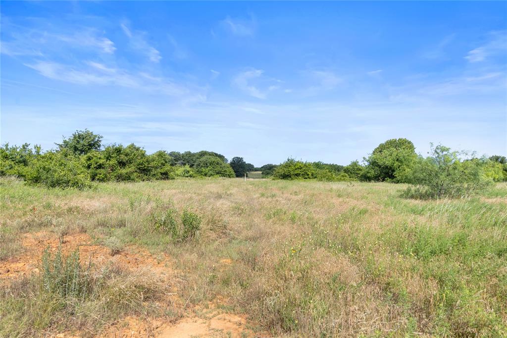 Tbd Berry Dairy Road Bryson, TX 76427 - Photo 39 of 39
