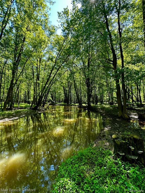 892 Barnes Lake Road Columbiaville, MI 48421 - Photo 61 of 85