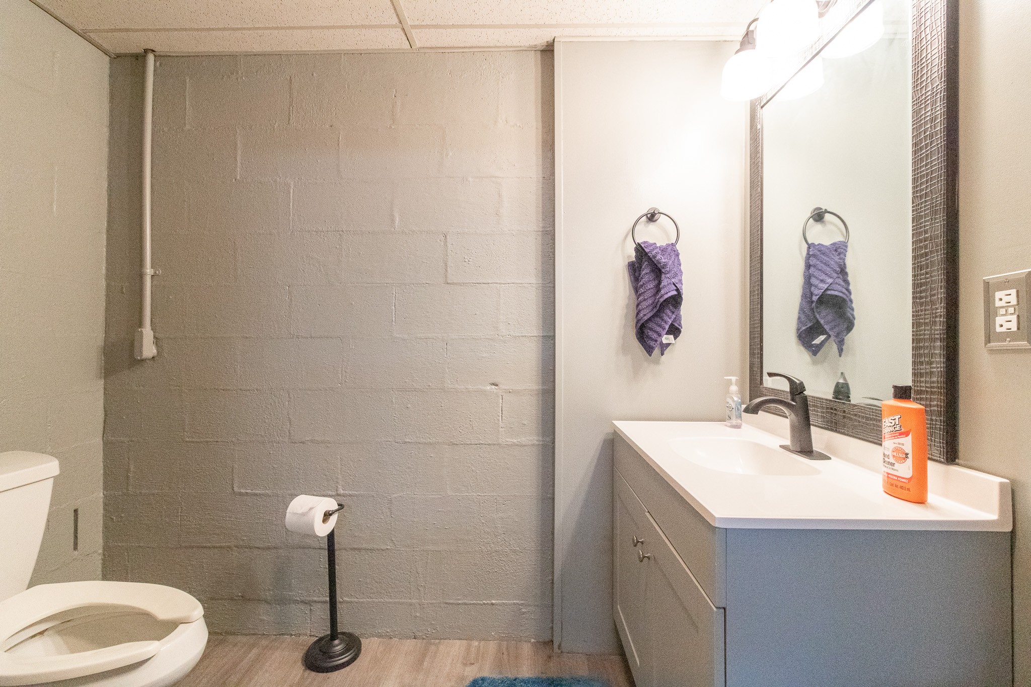 8602 Hickory Ridge Road Mount Juliet, TN 37122 - Photo 45 of 68 a bathroom with a sink and mirror with toilet