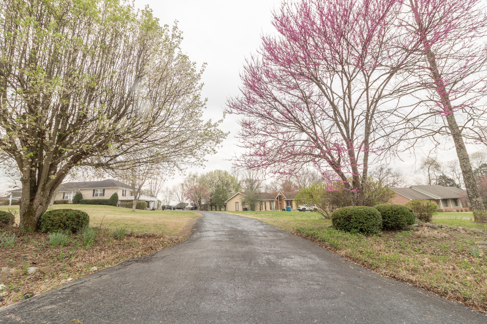 8602 Hickory Ridge Road Mount Juliet, TN 37122 - Photo 9 of 68 a view of a yard with plants and trees