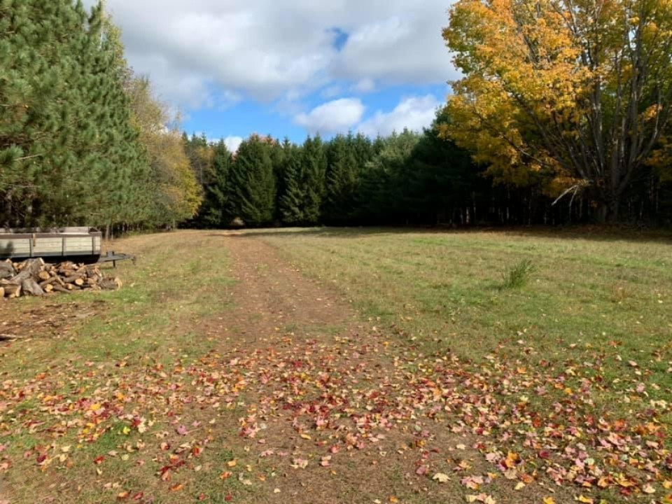 2337 South Grout Road Gladwin, MI 48624 - Photo 33 of 62 gladwin 31 - Copy