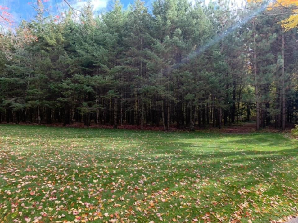2337 South Grout Road Gladwin, MI 48624 - Photo 36 of 62 gladwin 34 - Copy