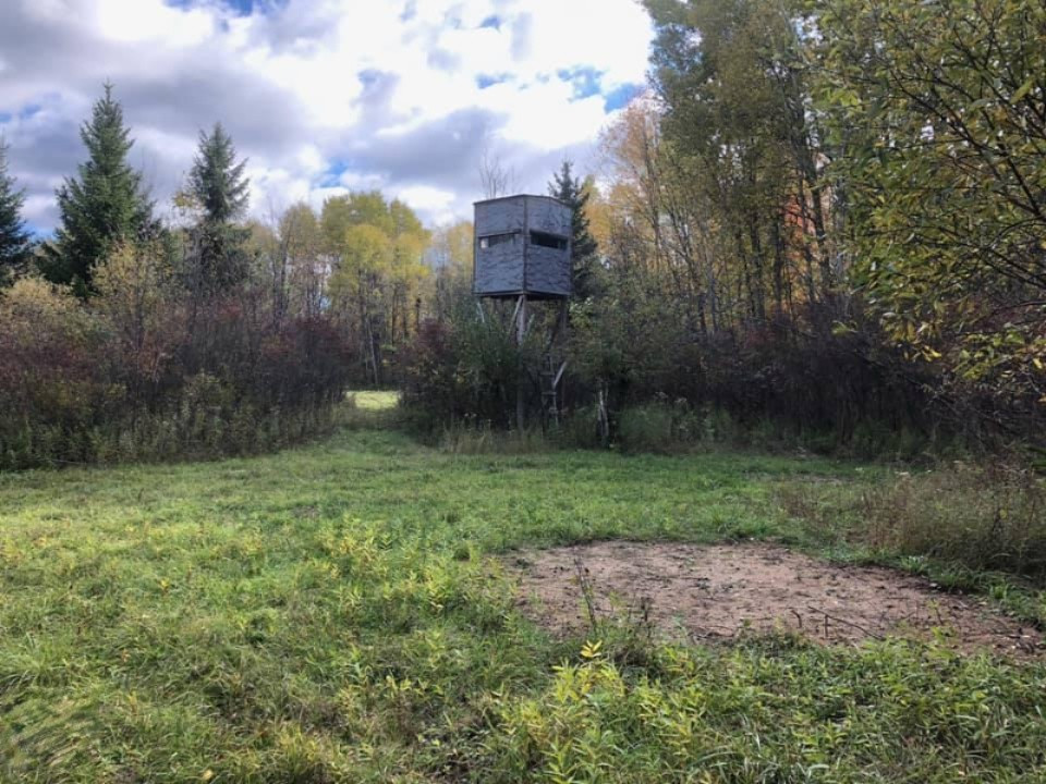 2337 South Grout Road Gladwin, MI 48624 - Photo 46 of 62 gladwin 45