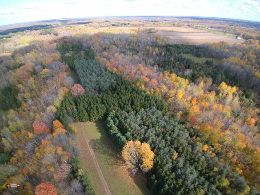 2337 South Grout Road Gladwin, MI 48624 - Photo 58 of 62 Gladwin drone 6