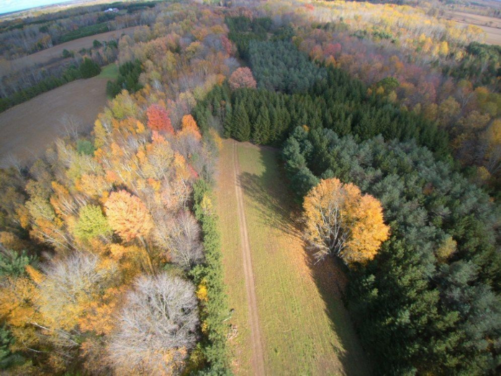 2337 South Grout Road Gladwin, MI 48624 - Photo 62 of 62 Gladwin drone 11