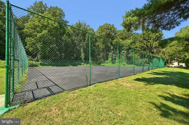 a view of backyard with tree