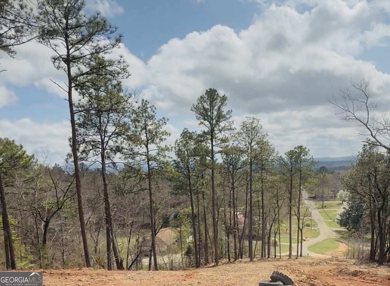 0 Monte Vista Road Oxford, AL 36203 - Photo 2 of 4