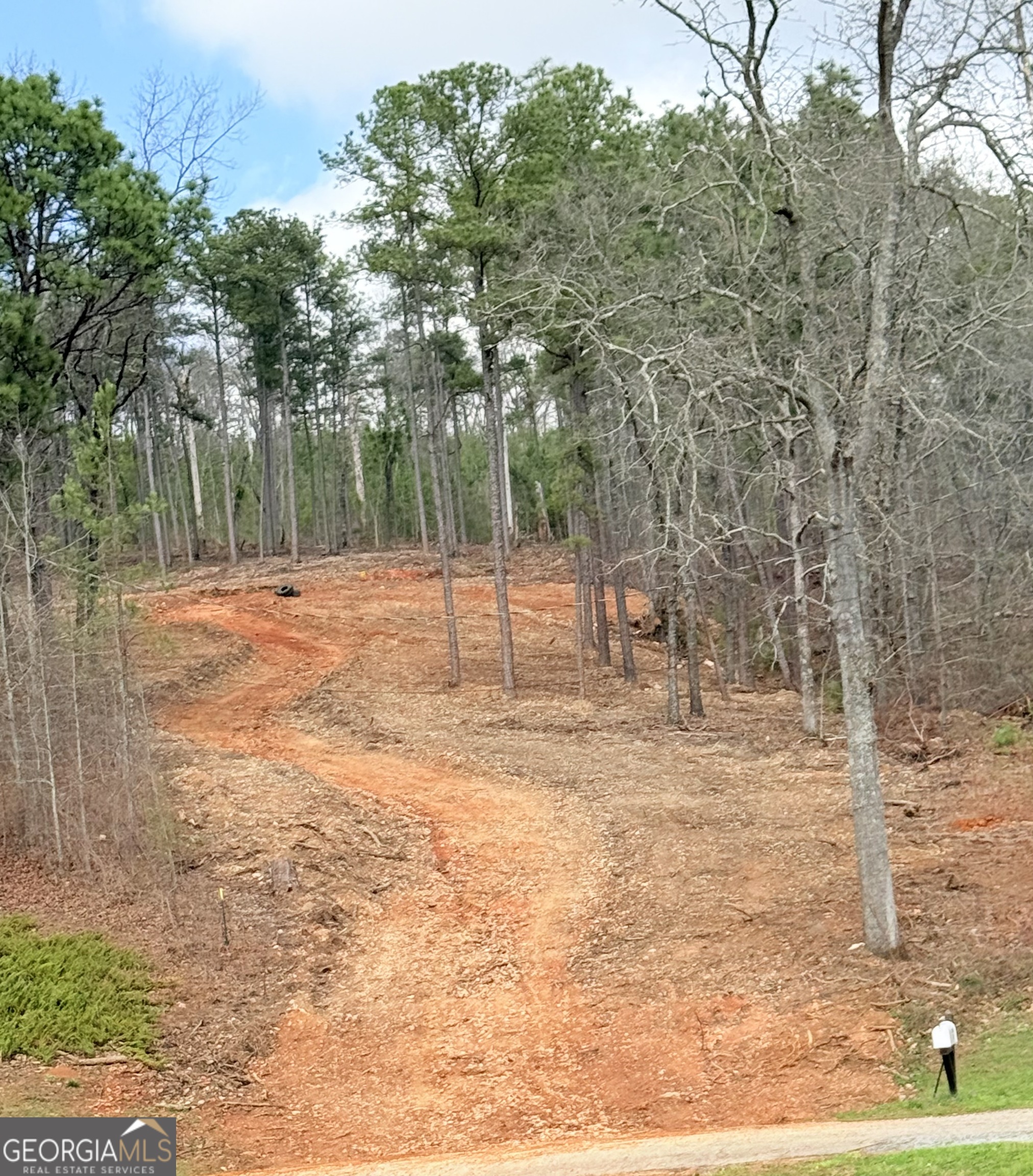 0 Monte Vista Road Oxford, AL 36203 - Photo 3 of 4