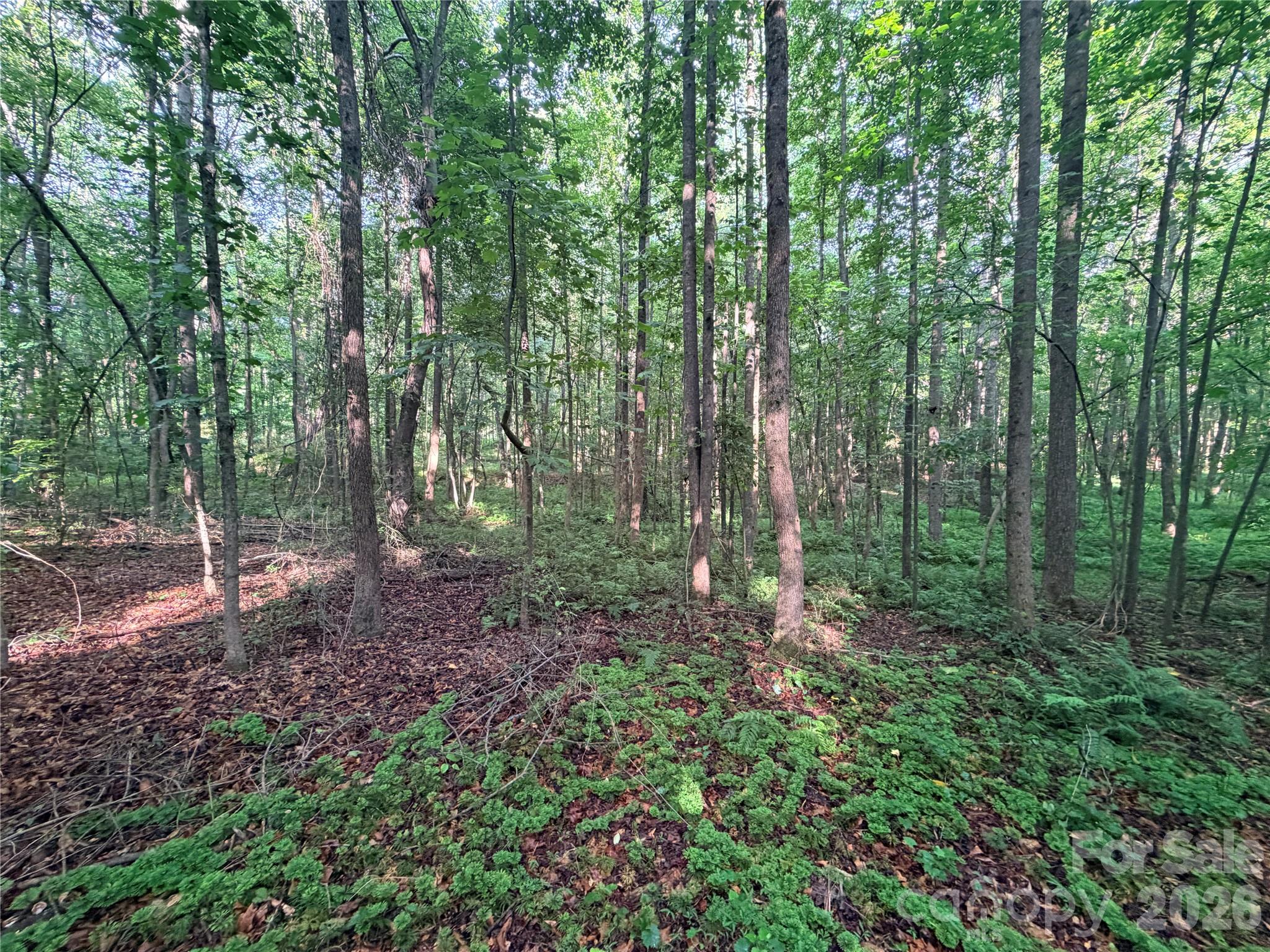 Lot 3 Schenck Farm Road Lawndale, NC 28090 - Photo 8 of 13