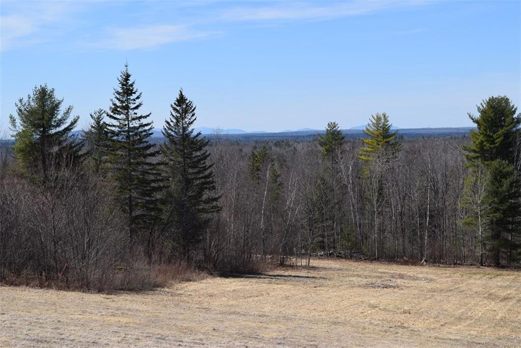 87 Sweet Road Lincoln, ME 04457 - Photo 30 of 35 A beautiful early spring day...