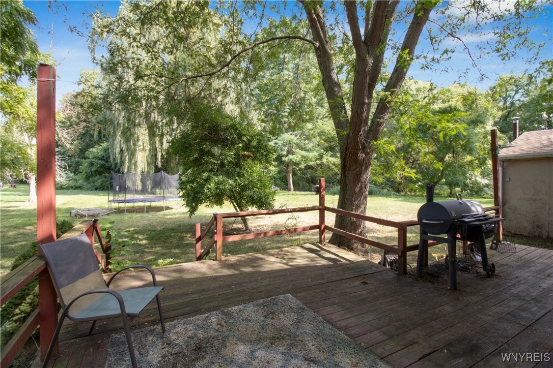 2979 Murdock Road Ridgeway, NY 14103 - Photo 33 of 40