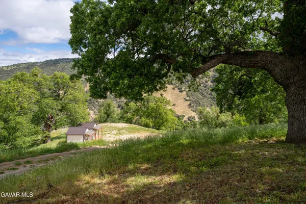 a view of a yard with an trees