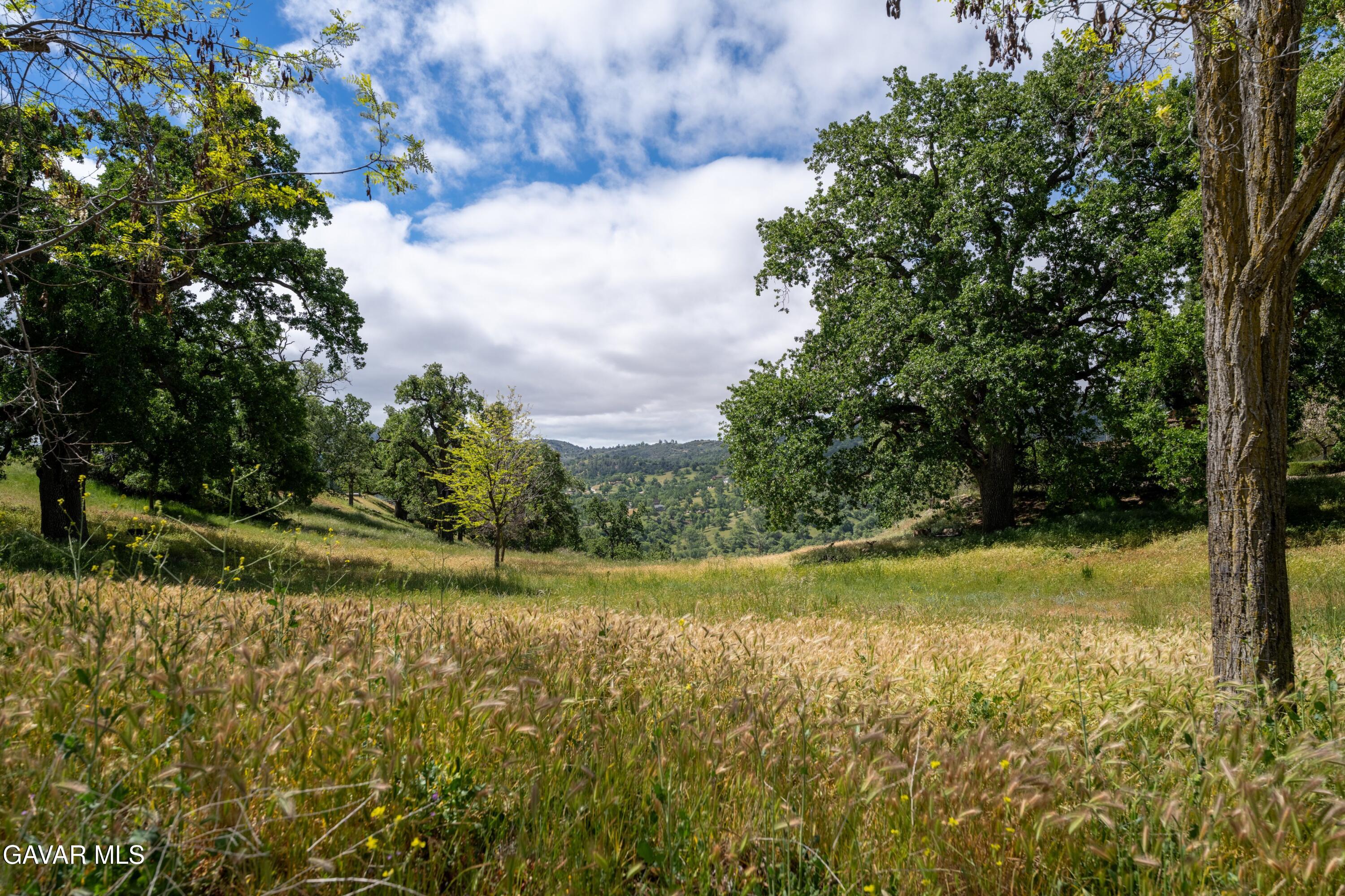 24840 Arrow Court Tehachapi, CA 93561 - Photo 49 of 51 48-JYP02562-HDR